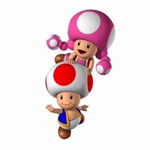 toad-and-toadette.jpg